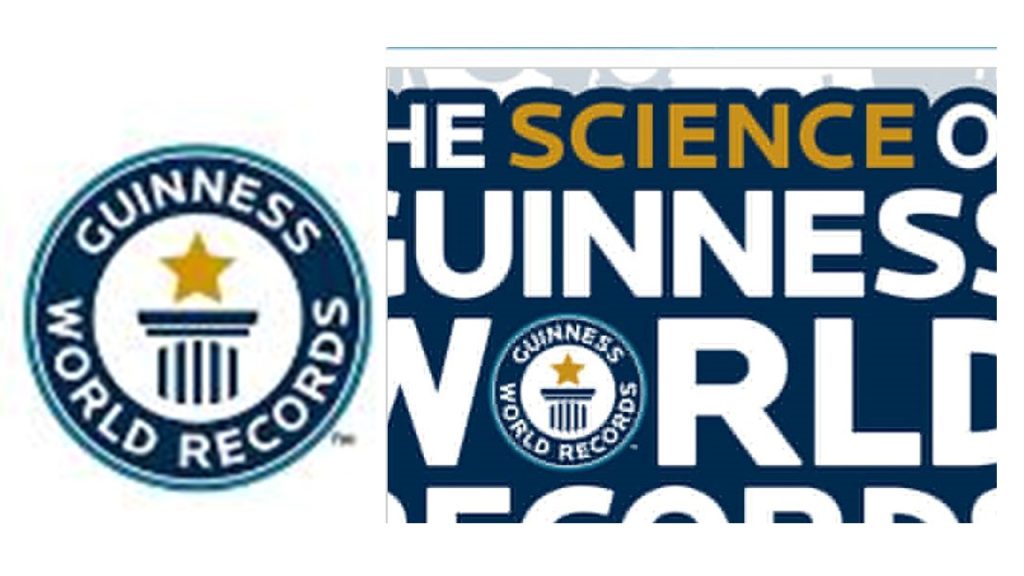 BRUSHSTROKES OF EXCELLENCE: NIGERIAN ARTIST SETS GUINNESS WORLD RECORD