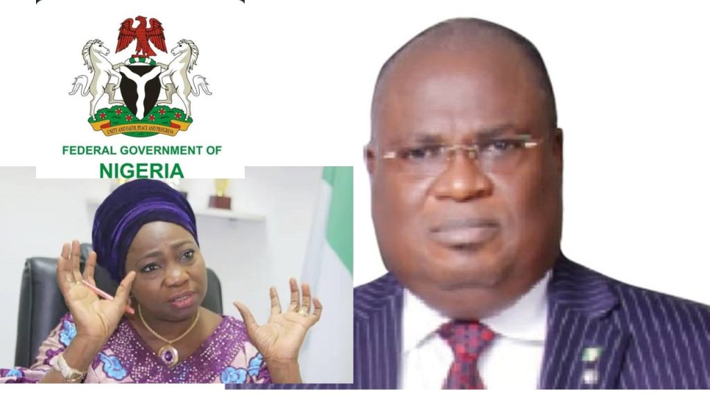 EMPOWERING NIGERIANS ABROAD: DIASPORAHUB APP AND HEALTH INSURANCE SCHEME