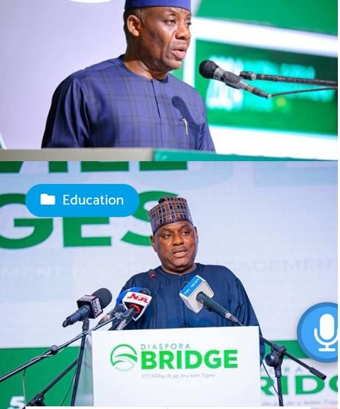 Nigeria Bridge Gap with Diaspora Expertise: BRIDGE Initiative Launched