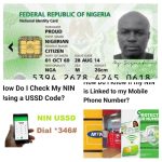 Seamless NIN Services for Diaspora Nigerians: