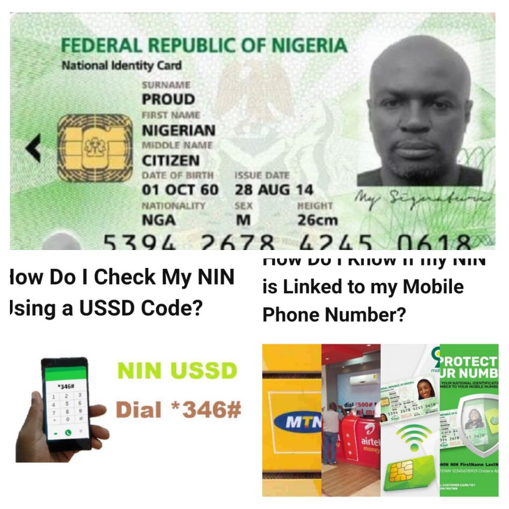 Seamless NIN Services for Diaspora Nigerians: